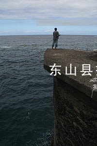 东山县损害赔偿在线律师 东山县损害赔偿在线律师