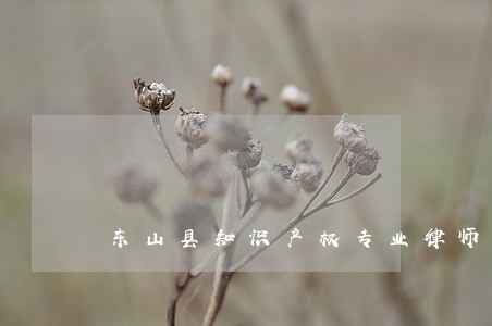 东山县知识产权专业律师 东山县知识产权专业律师