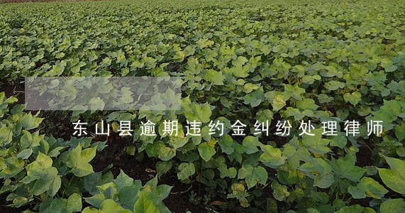 东山县逾期违约金纠纷处理律师 东山县逾期违约金纠纷处理律师