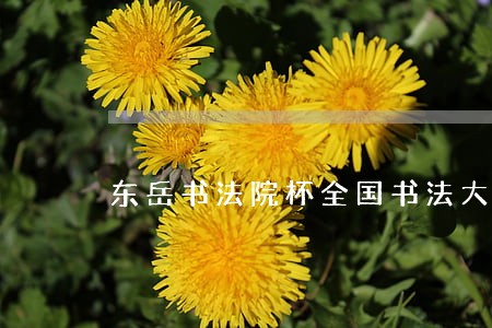 东岳书法院杯全国书法大赛 东岳书法院杯全国书法大赛