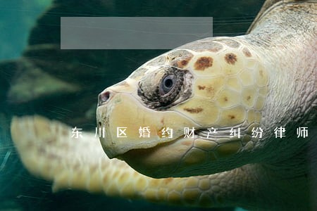 东川区婚约财产纠纷律师事务所 东川区婚约财产纠纷律师事务所
