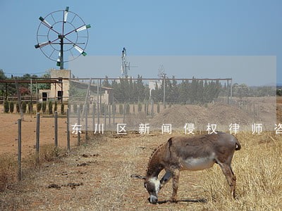 东川区新闻侵权律师咨询电话 东川区新闻侵权律师咨询电话