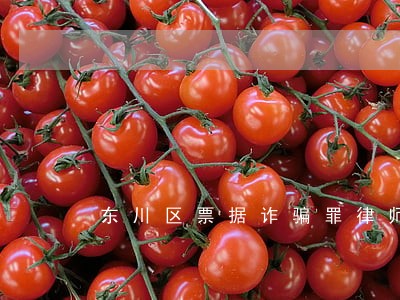 东川区票据诈骗罪律师网 东川区票据诈骗罪律师网