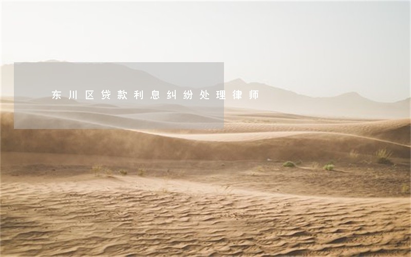 东川区贷款利息纠纷处理律师