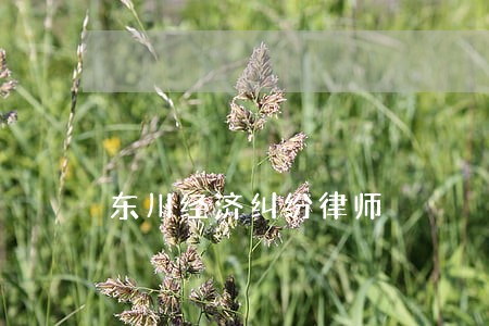 东川经济纠纷律师 东川经济纠纷律师
