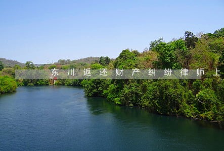 东川返还财产纠纷律师上诉状 东川返还财产纠纷律师上诉状