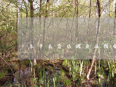 东平县资信调查在线律师咨询 东平县资信调查在线律师咨询