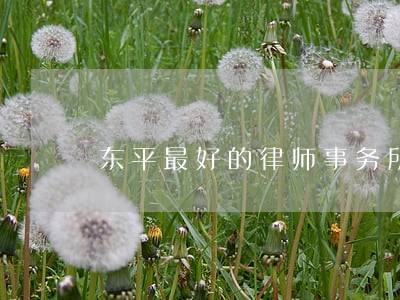 东平最好的律师事务所 东平最好的律师事务所