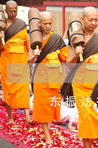 东振法律咨询公司 东振法律咨询公司