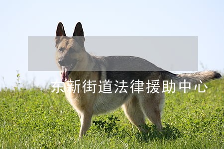 东新街道法律援助中心 东新街道法律援助中心