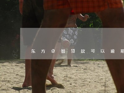 东方卓智贷款可以逾期吗 东方卓智贷款可以逾期吗