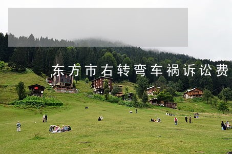 东方市右转弯车祸诉讼费用多少