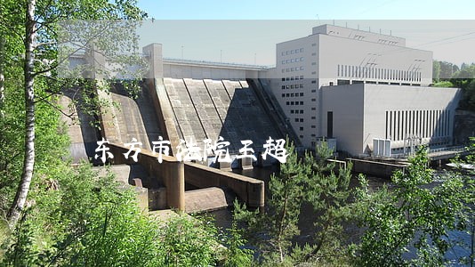 东方市法院王超 东方市法院王超