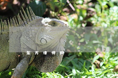东方律师网 东方律师网