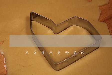 东方律所是哪里的 东方律所是哪里的