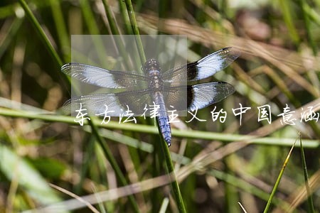 东方法律主义的中国意涵 东方法律主义的中国意涵