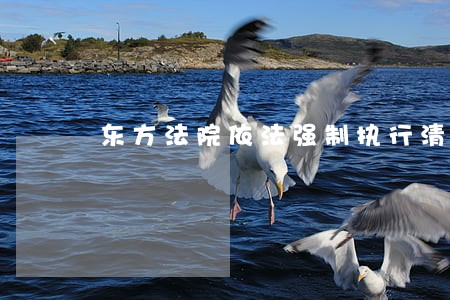 东方法院依法强制执行清除 东方法院依法强制执行清除