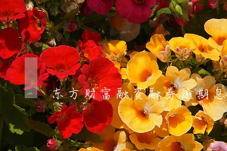 东方财富融资融券逾期息费 东方财富融资融券逾期息费