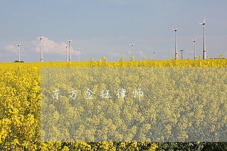 东方金钰律师 东方金钰律师