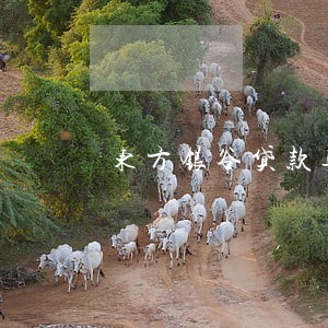 东方银谷贷款逾期费合法吗 东方银谷贷款逾期费合法吗
