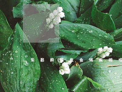 东昌府区专业残疾赔偿纠纷律师 东昌府区专业残疾赔偿纠纷律师