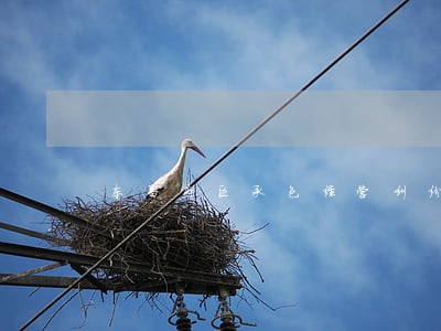 东昌府区承包经营纠纷处理律师 东昌府区承包经营纠纷处理律师