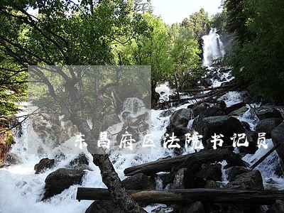 东昌府区法院书记员 东昌府区法院书记员
