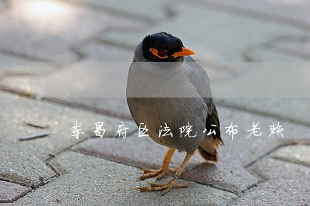 东昌府区法院公布老赖