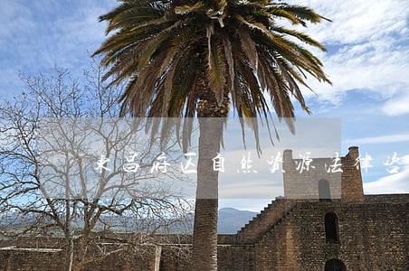 东昌府区自然资源法律咨询热线