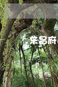 东昌府区购销合同纠纷律师 东昌府区购销合同纠纷律师