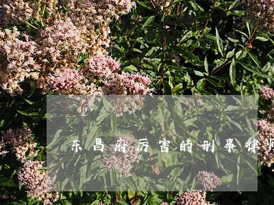 东昌府厉害的刑事律师事务所 东昌府厉害的刑事律师事务所
