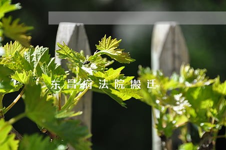 东昌府法院搬迁 东昌府法院搬迁