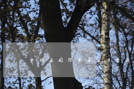 东明县国际贸易法律咨询热线 东明县国际贸易法律咨询热线
