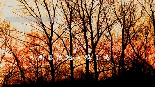 东明县法院上班了吗 东明县法院上班了吗