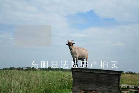 东明县法院房产拍卖