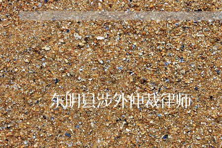 东明县涉外仲裁律师 东明县涉外仲裁律师