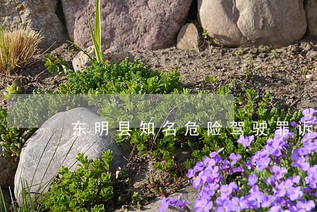 东明县知名危险驾驶罪诉讼律师 东明县知名危险驾驶罪诉讼律师
