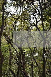 东明县私人律师律师咨询电话 东明县私人律师律师咨询电话