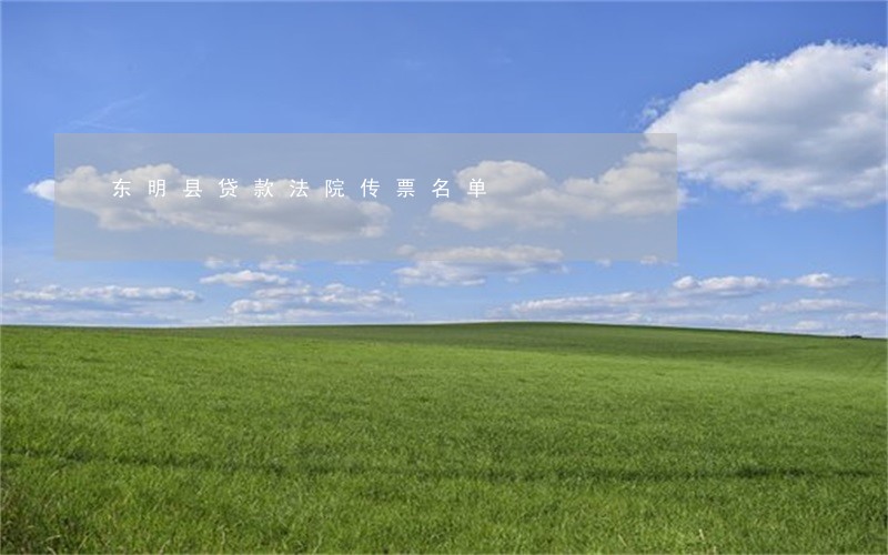 东明县贷款法院传票名单