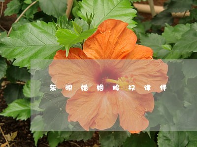 东明婚姻股权律师 东明婚姻股权律师