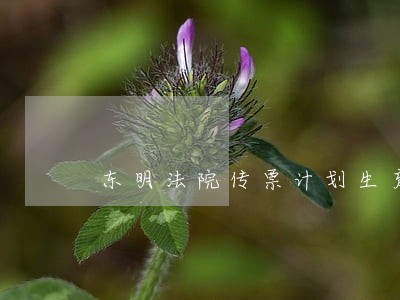 东明法院传票计划生育