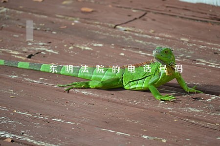 东明法院的电话号码 东明法院的电话号码