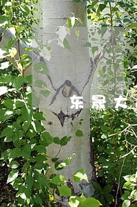 东晟大连法律咨询公司 东晟大连法律咨询公司