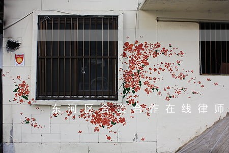 东河区合资合作在线律师 东河区合资合作在线律师
