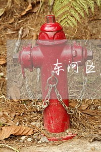 东河区房地产专家律师