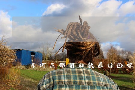 东河区挪用公款罪诉讼律师 东河区挪用公款罪诉讼律师