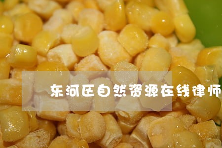 东河区自然资源在线律师咨询 东河区自然资源在线律师咨询