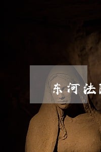 东河法院红绿灯有没有闯红灯拍照 东河法院红绿灯有没有闯红灯拍照