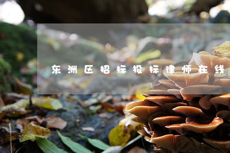 东洲区招标投标律师在线免费咨询 东洲区招标投标律师在线免费咨询
