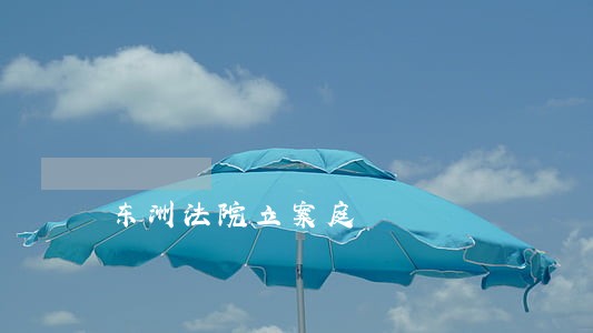 东洲法院立案庭 东洲法院立案庭